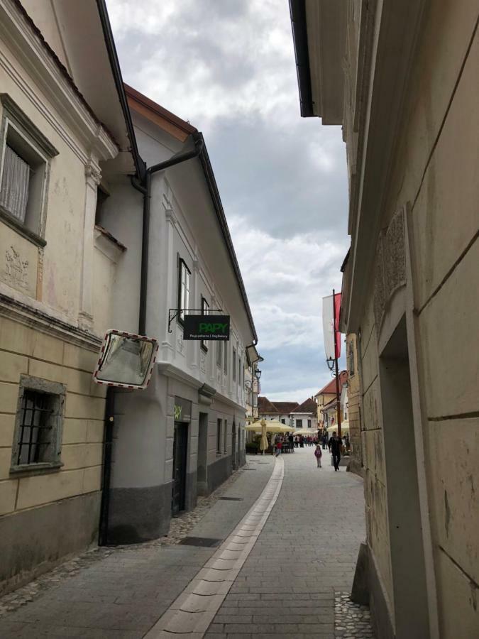 Apartma Linhartov Trg Radovljica Exterior foto