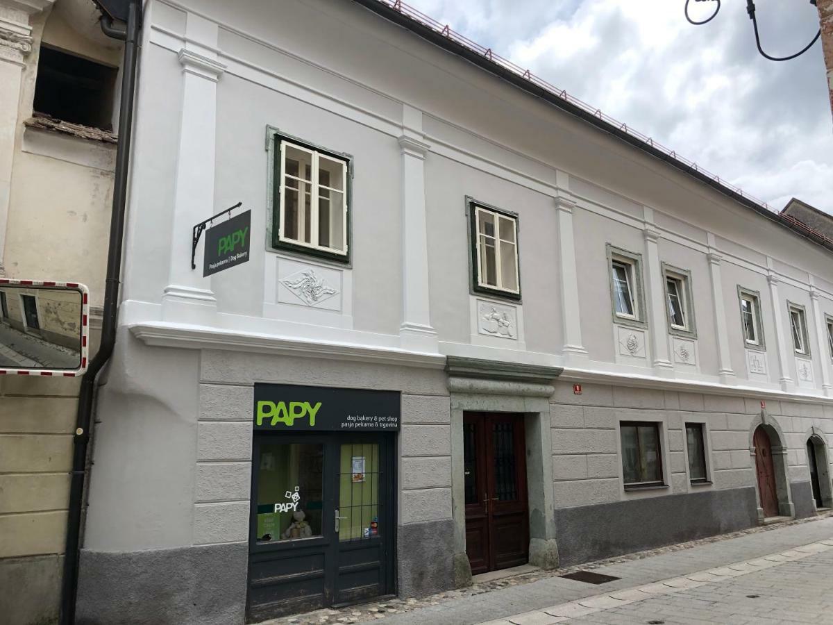 Apartma Linhartov Trg Radovljica Exterior foto